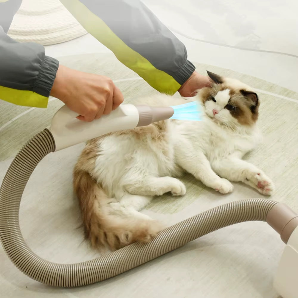 Quiet pet hair dryer being demonstrated on cat during home grooming"