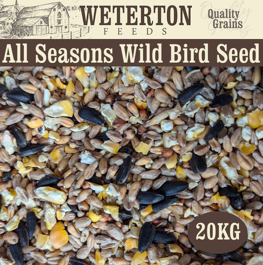 Wild Bird Seed Mix - All Seasons Premium Feed 20kg